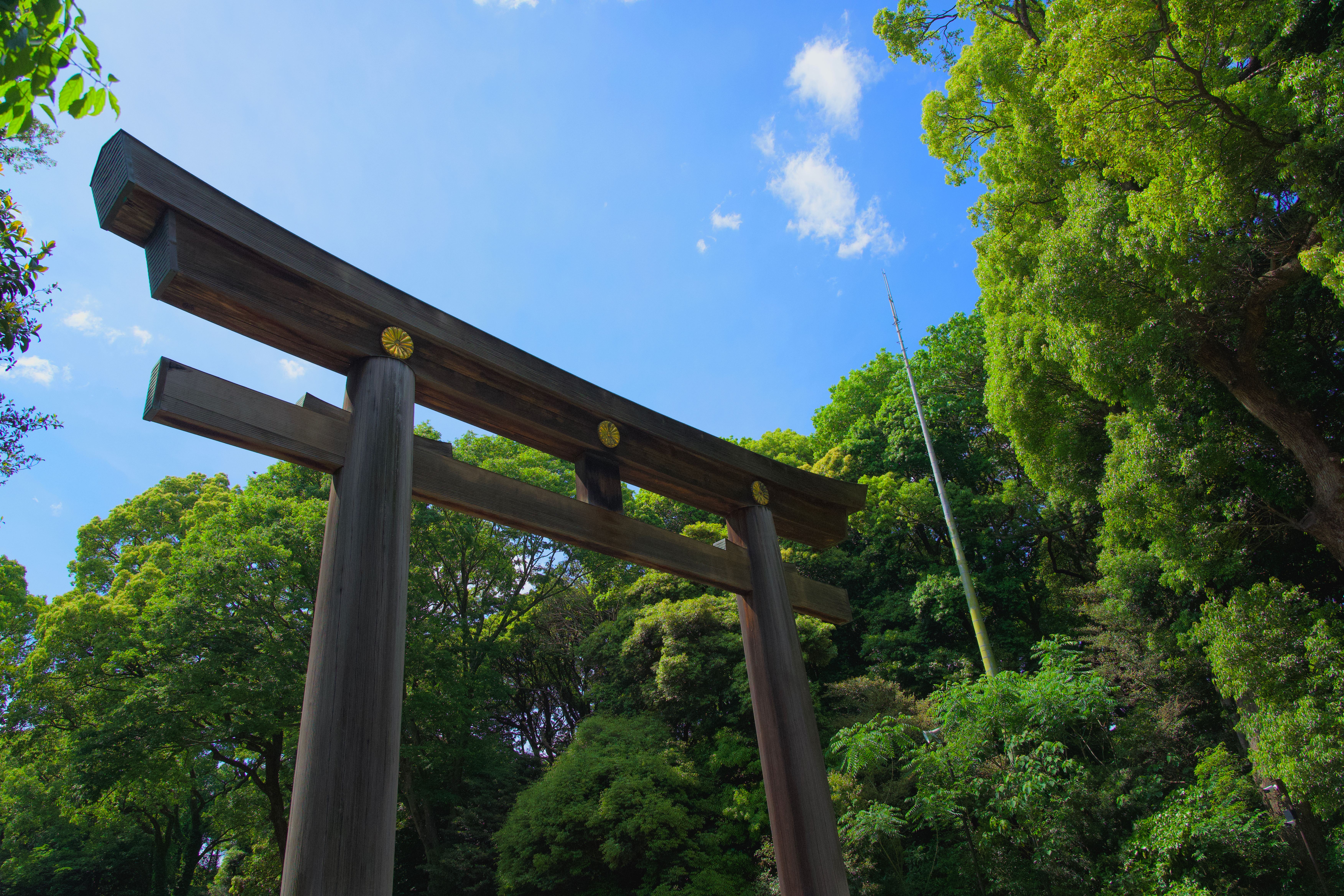 The grand wooden torii gate at Meiji Shrine against blue sky and trees